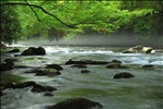 Mountain Stream